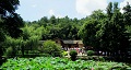 長沙出發(fā)到花明樓、韶山、張家界國家森林公園、天門仙山國家森林公園四日游
